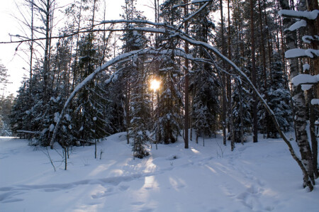 Устали от зимы...