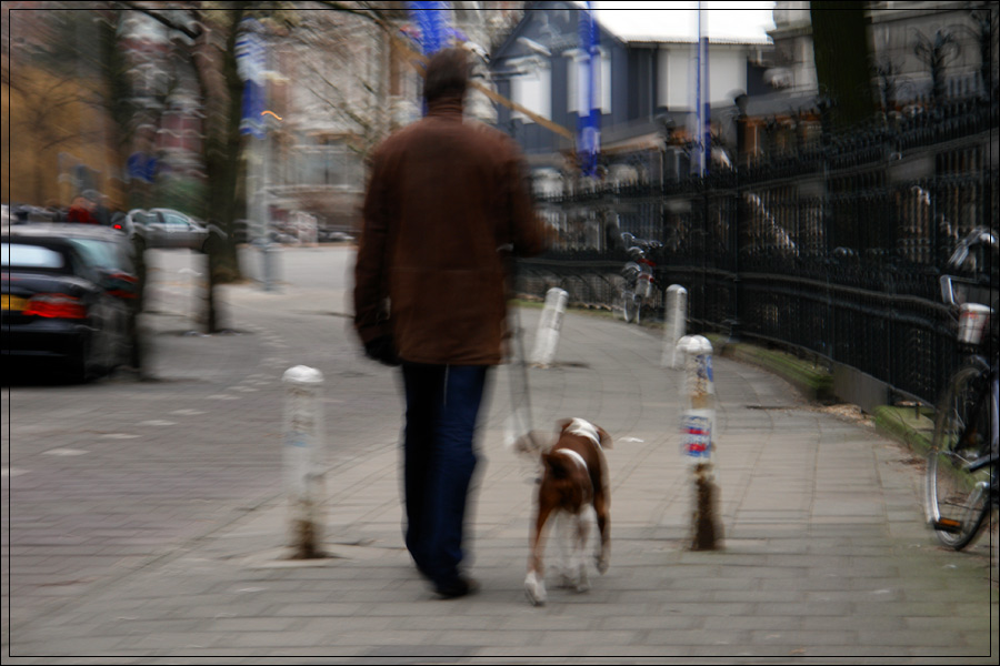Amsterdamians