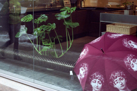 Window shopping