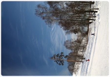 One sunny day