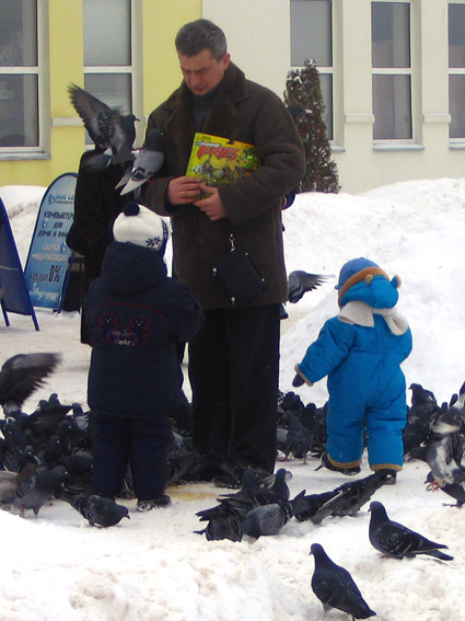 И опять голуби.
