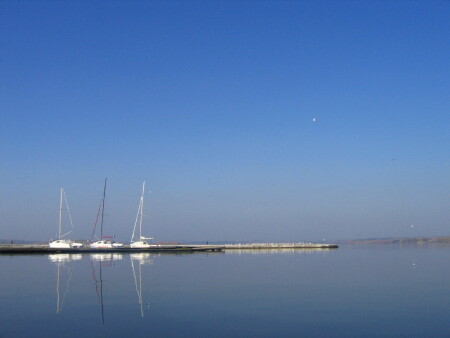 пруд , осень