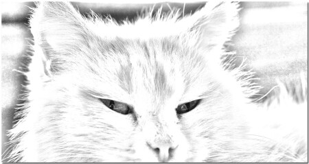 На нас из глаз его посмотрит...