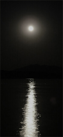 ГУЛЯТЬ ПО ВОДЕ?!?!?!