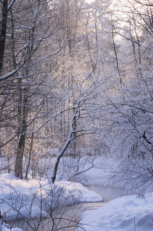 Февраль