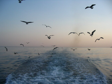 Вечерние полутона...