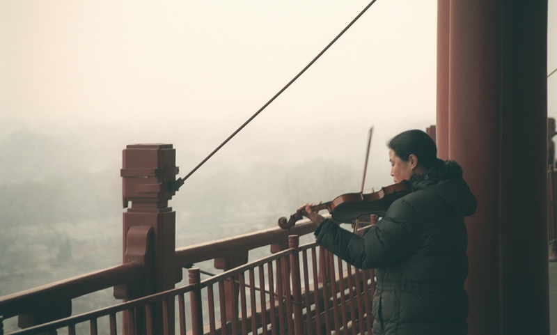 violin