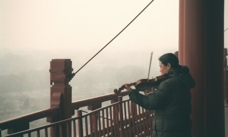 violin