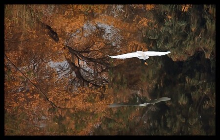 Пролетая над...