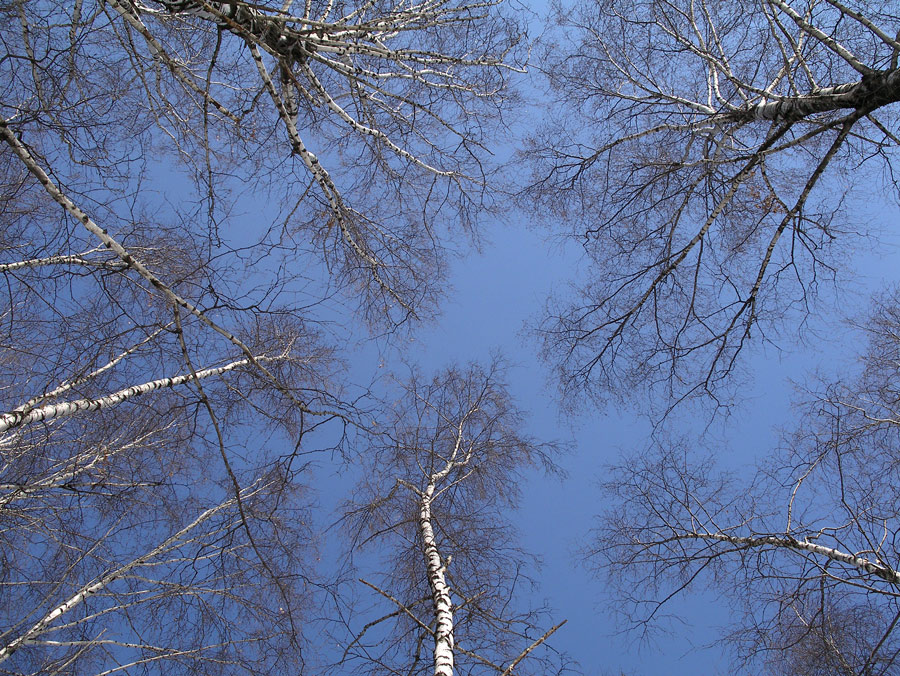 Весеннее небо