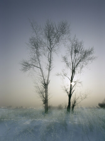 Зимняя сказка