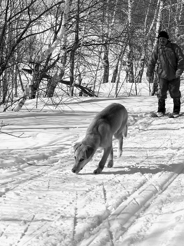Молодой охотник