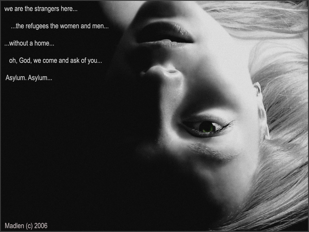 Asylum 