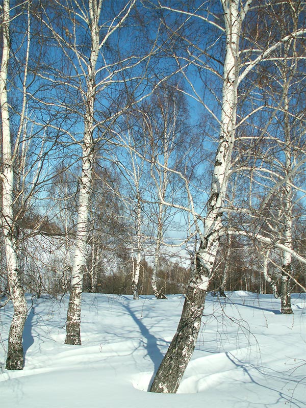 Припекает
