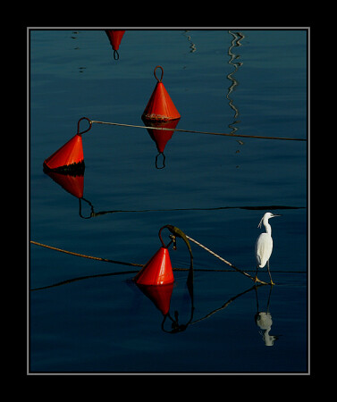 In THE PORT