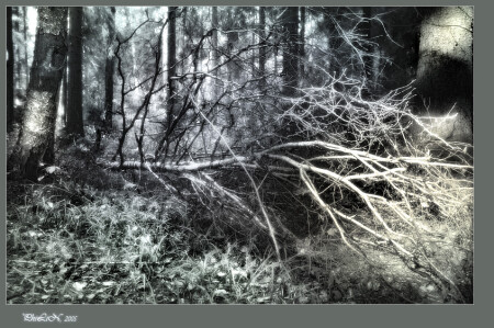 Жажда Солнца