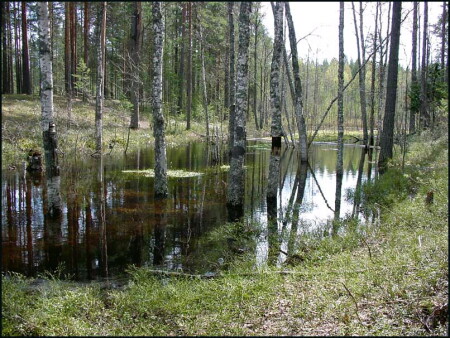 Весенний пейзаж