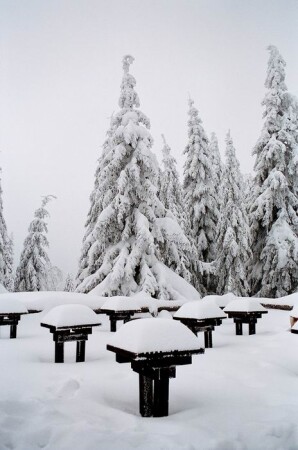 Сербия. Горы.