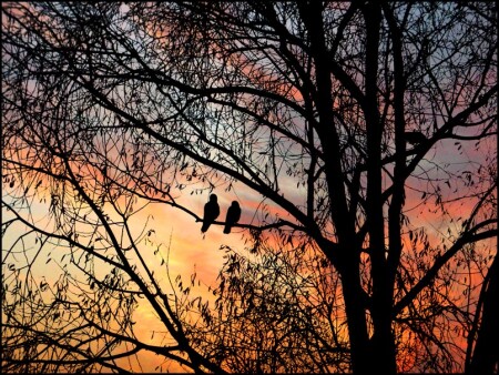 A Hard Day's Night