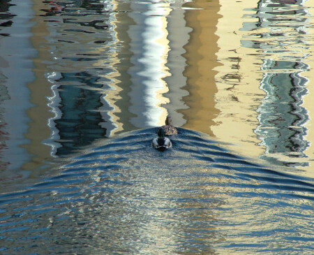 Путь в Зазеркалье