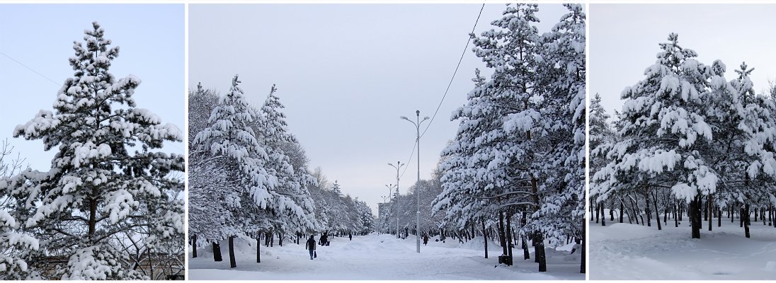 Последний &quot;превед&quot; зимы