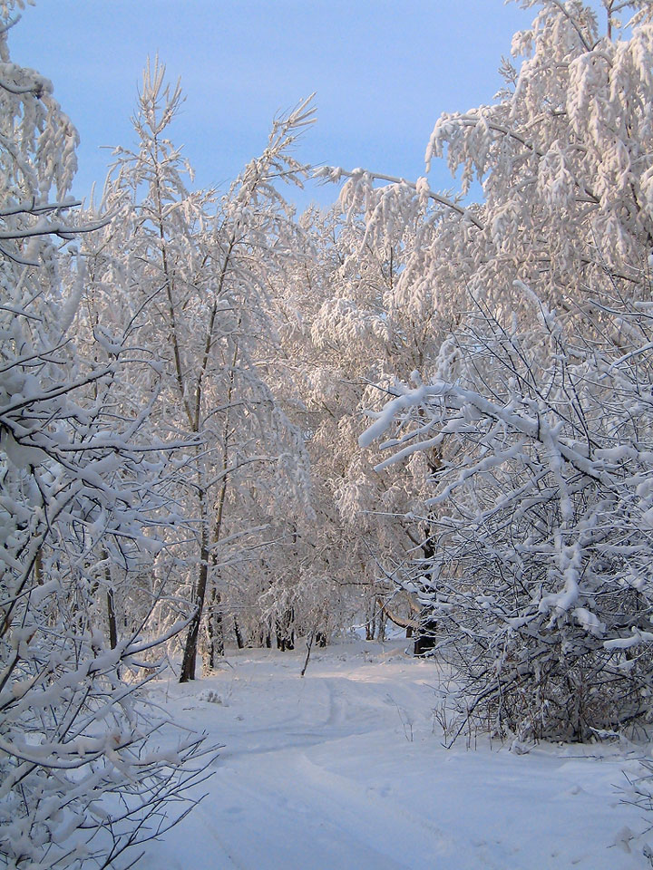 Зимняя прогулка