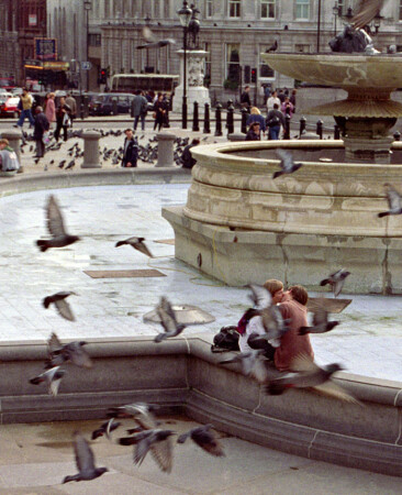 Любовь и голуби