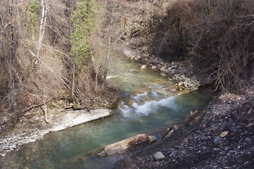 Река Жане