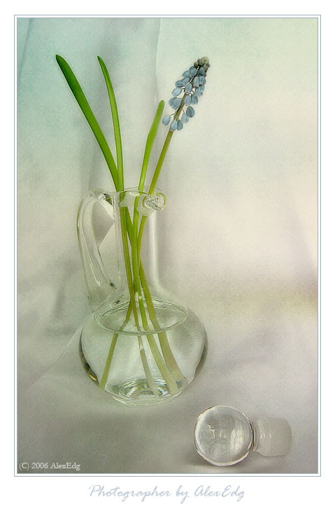 still life