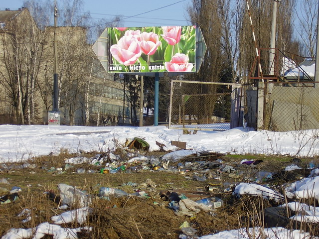 Город цветов