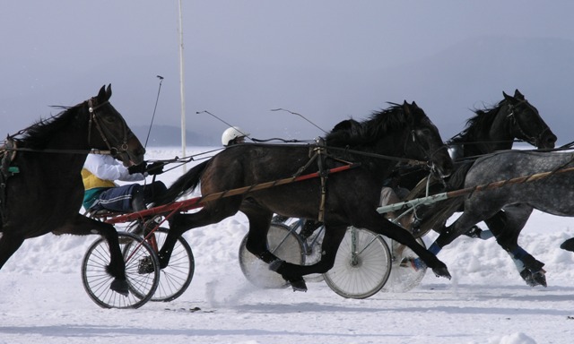 Бега