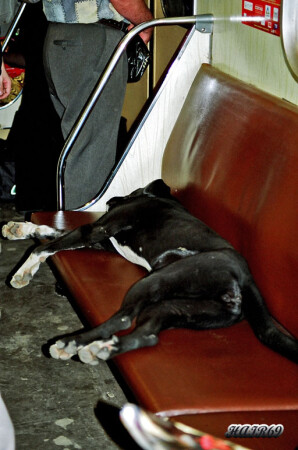 Метротранзит