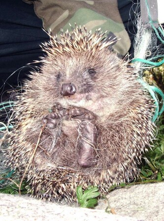 Начинающий рыбак!