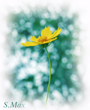 Мир, в котором я живу, называется мечтой, хочешь, я тебя с собой возьму, а хочешь, поделюсь с тобой…