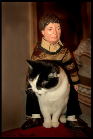Riding a Cat