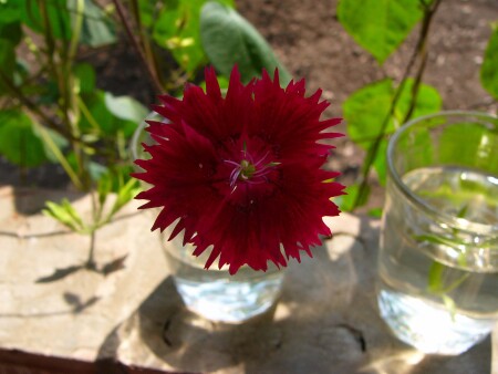 Взгляд в объектив