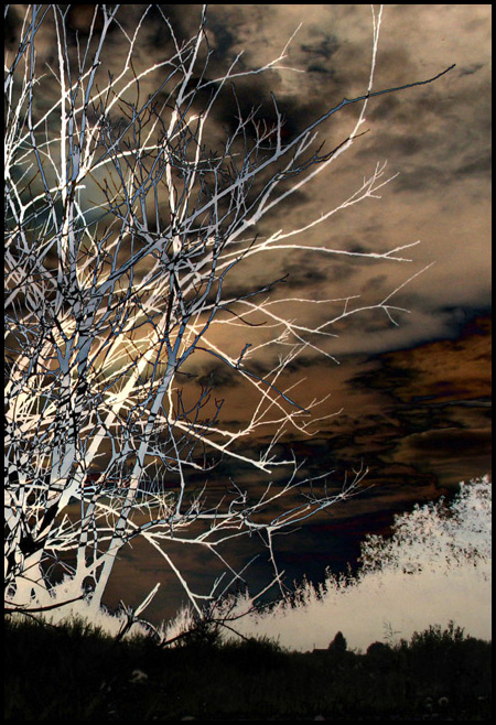 Digart 012