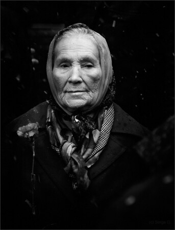 Гвоздика для вождя
