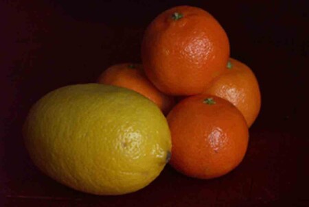 Цитрусы