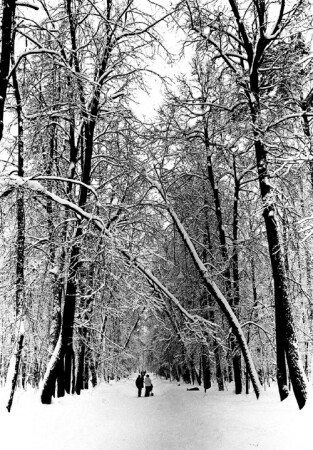 Зимния пора