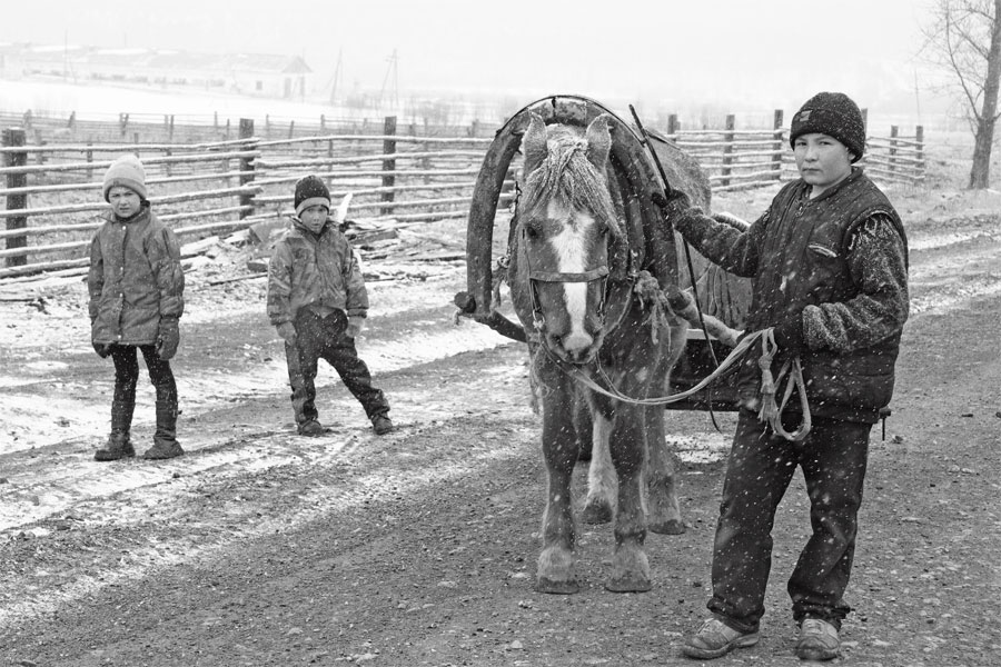 Деревенские развлечения, или про сельских водовозов.