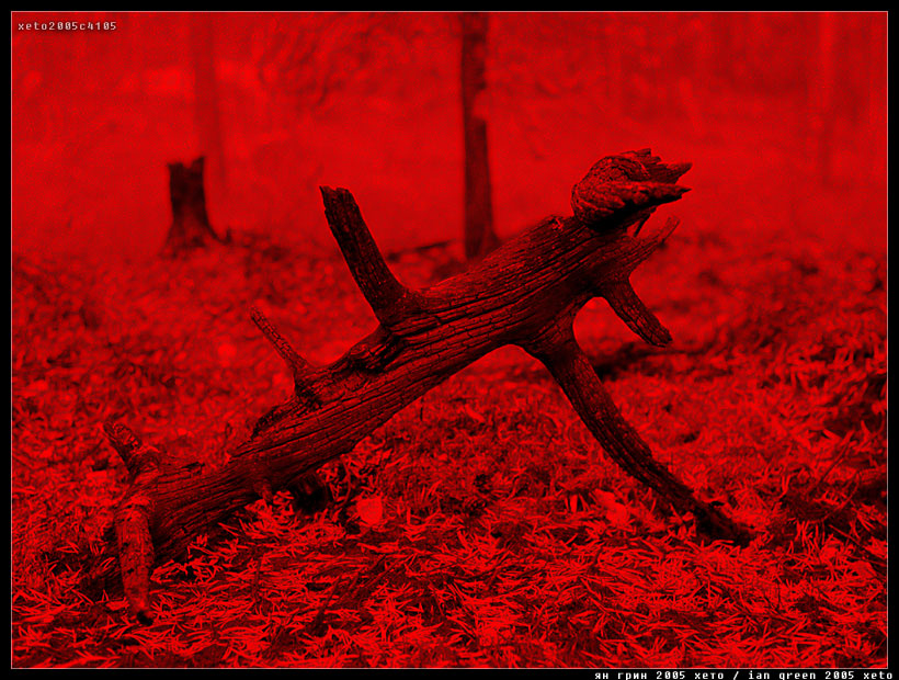 xeto2005c4105