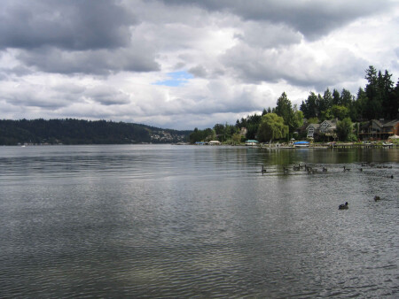 The Lake