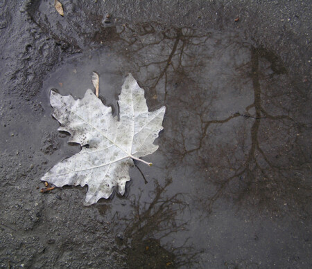 в плену у осени