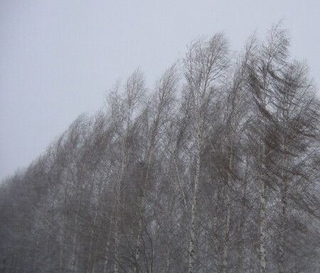 Ветер