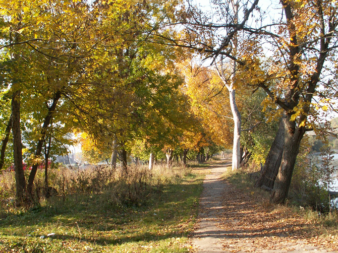 Прогулка