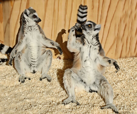 Эх,пивка бы сейчас ....