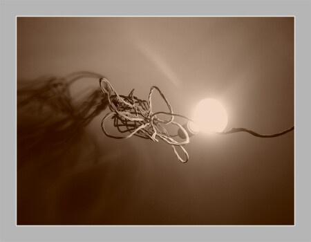 Ильич был прав!