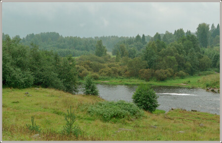 Дождливый летний день