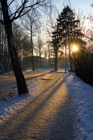 Контра свет, подруги тени